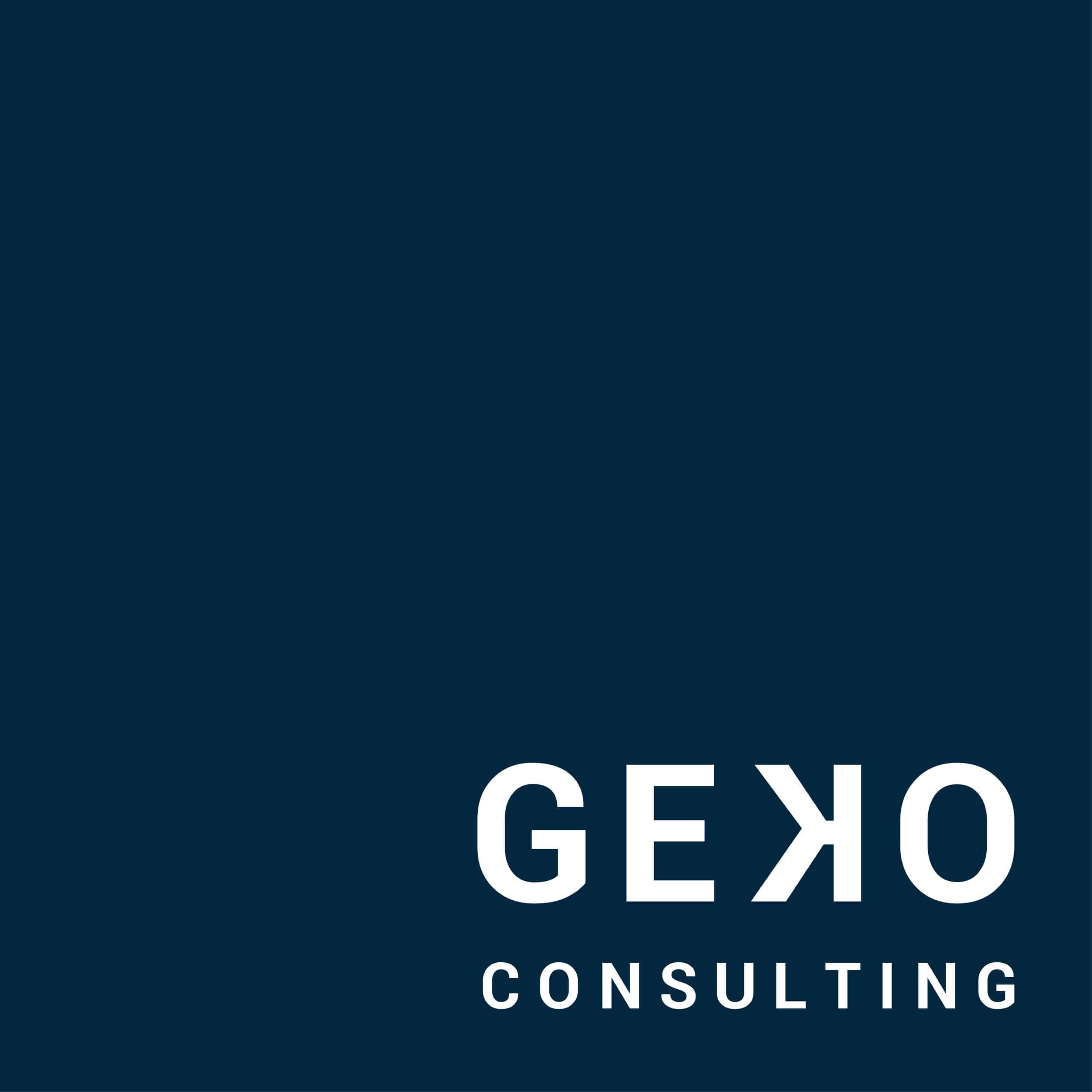 Logo GEKO vecto