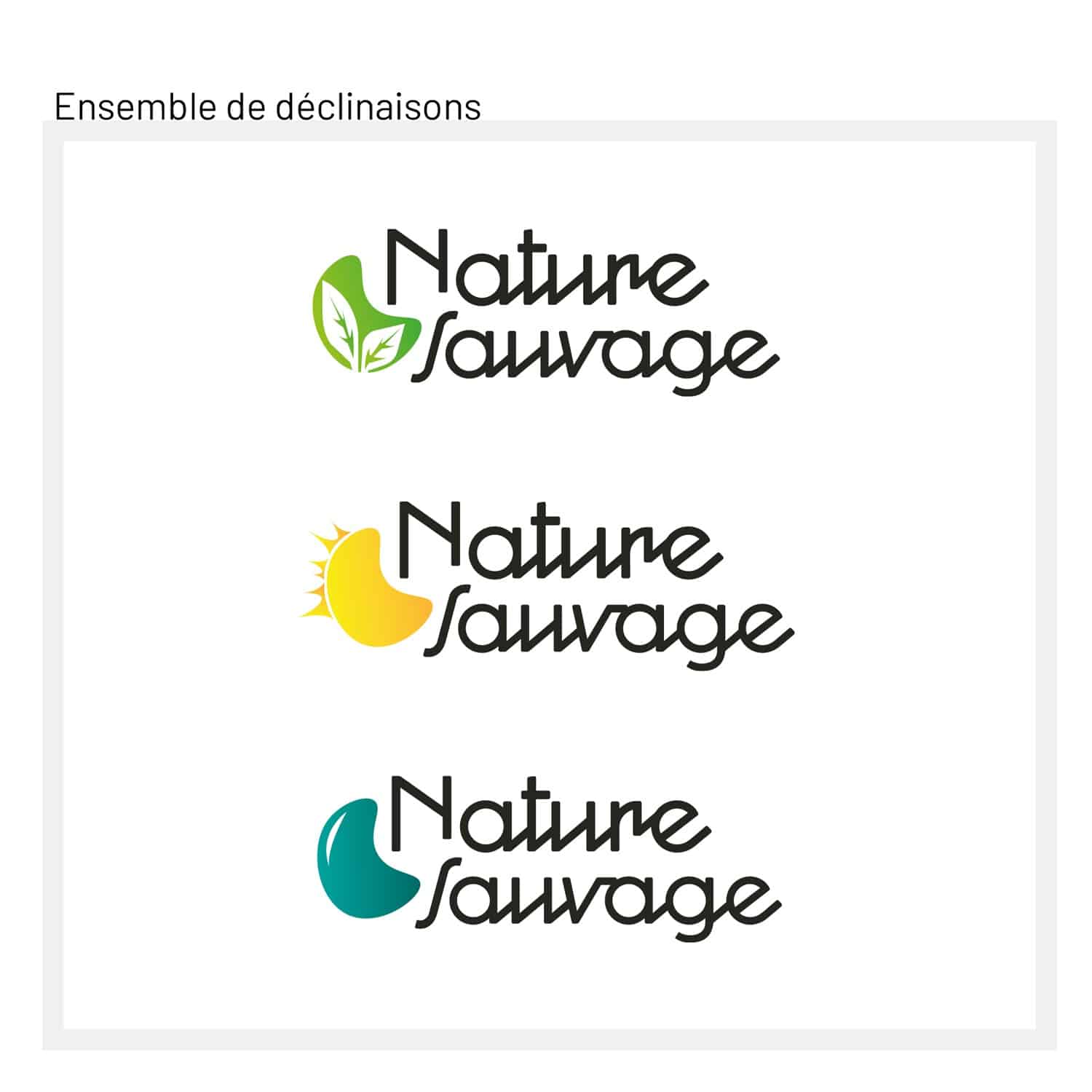Nature_2